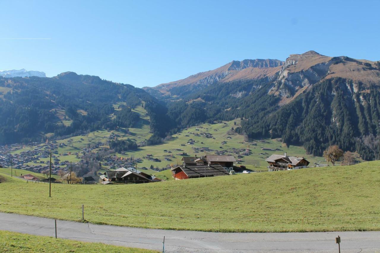 Chalet Weissenberg Lenk Dış mekan fotoğraf